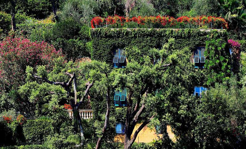 vue jardin maison