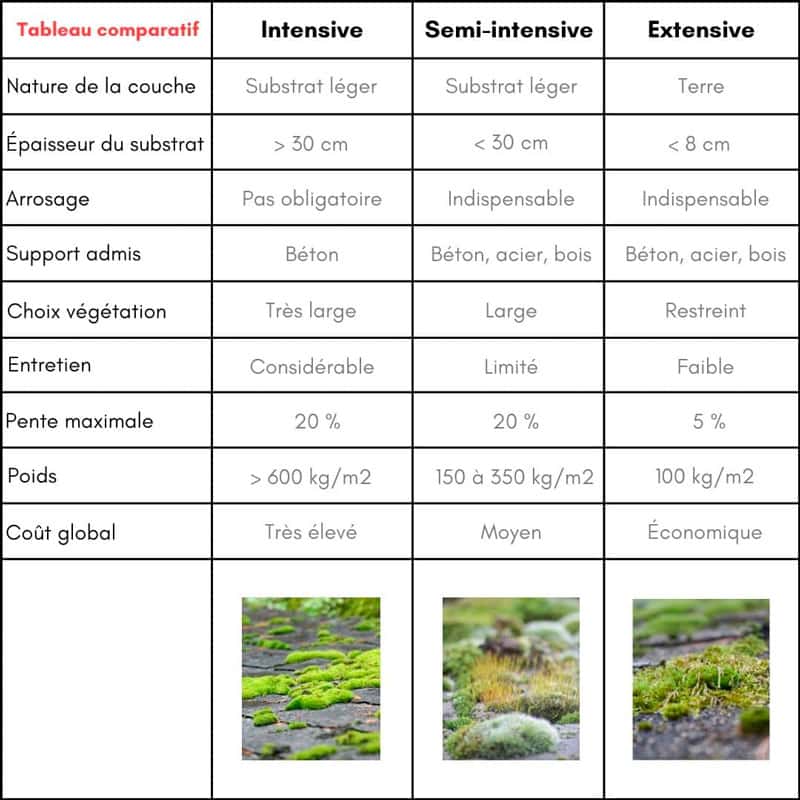 Comparatif des différents types de toitures végétalisées