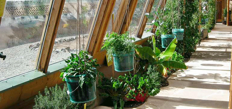 Jardin dans un Earthship