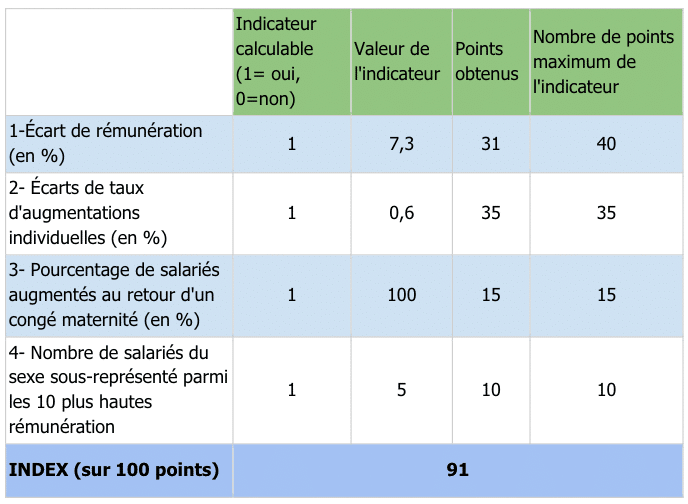 Index d'égalité professionnelle entre les hommes et les femmes chez Greenkub 