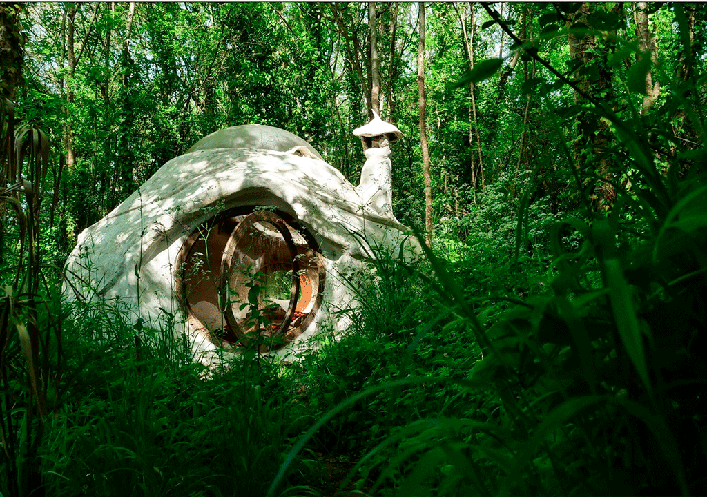 Une kerterre dans une forêt